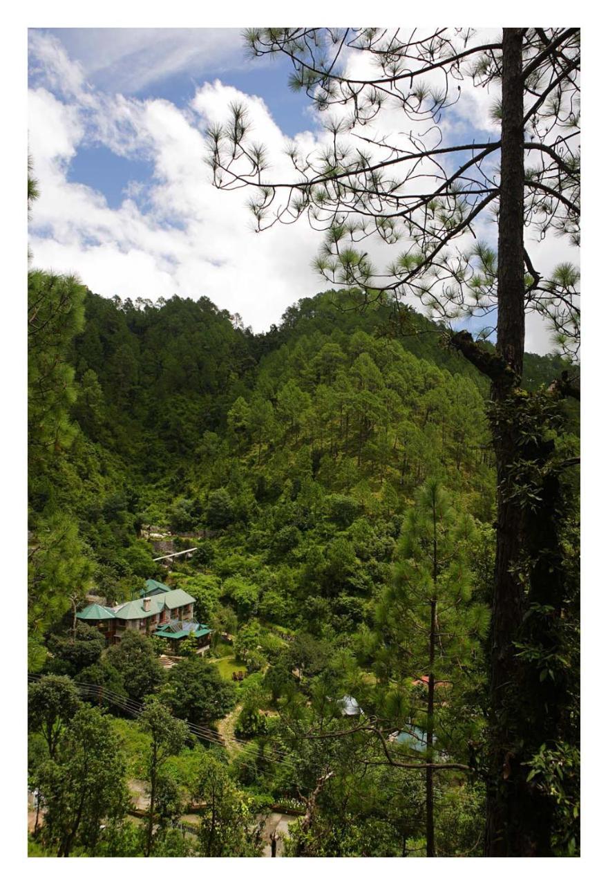 Saffronstays Himalaica, Nainital Bhowali Eksteriør billede